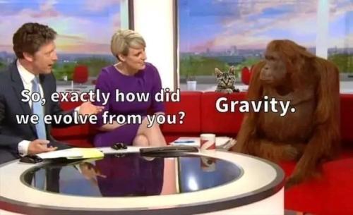 1684411807.8013492