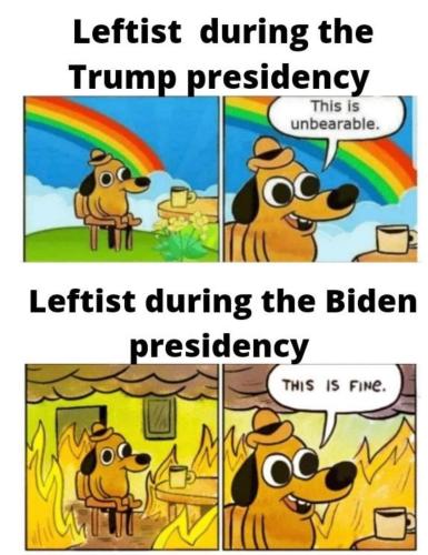 FB_IMG_1683157881562