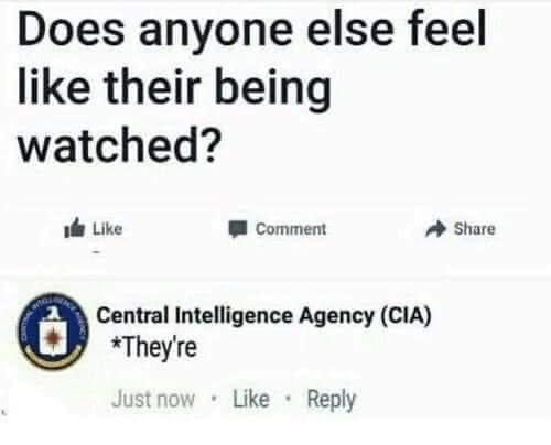 1682907005.8690171