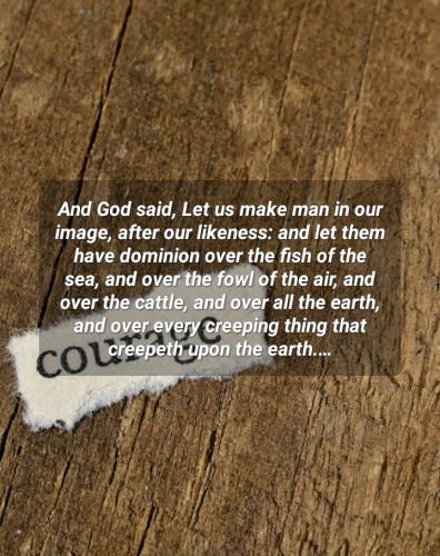 10:17:44 GMT-0700