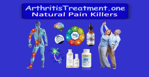 ArthritisTreatment.one - Natural Pain Killers