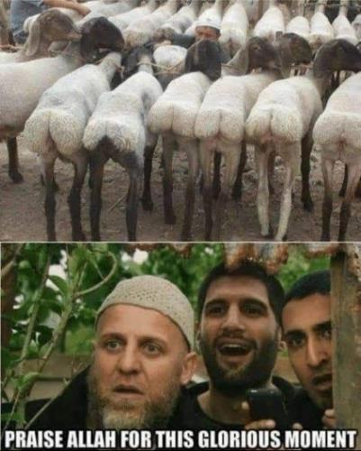 FB_IMG_1685467322832