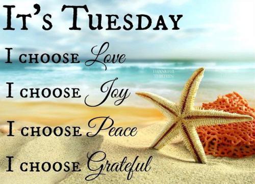 IMG_20230523_175901_652