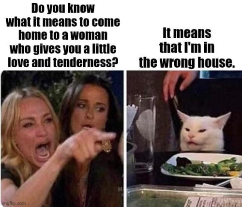 346820248_1734123593670523_6388819551074024343_n