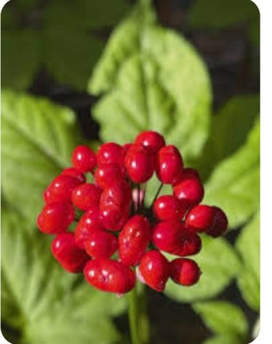 Screenshot_20230516_100746_Google