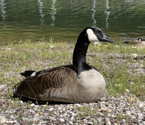 13:48:07 GMT-0500 (Central Daylight Time).image