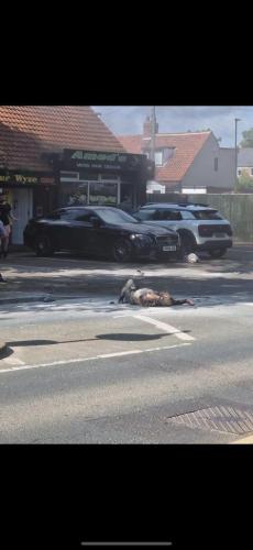 IMG_20230524_130622_494