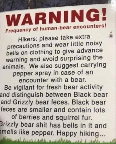 349315435_1188628625142624_8189744553665216391_n