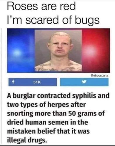 FB_IMG_1682993780262