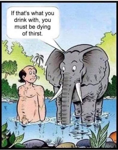 350103972_997878261657809_7459852625565288048_n