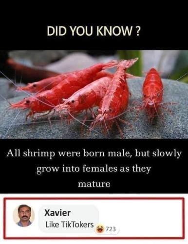 FB_IMG_1684519856946