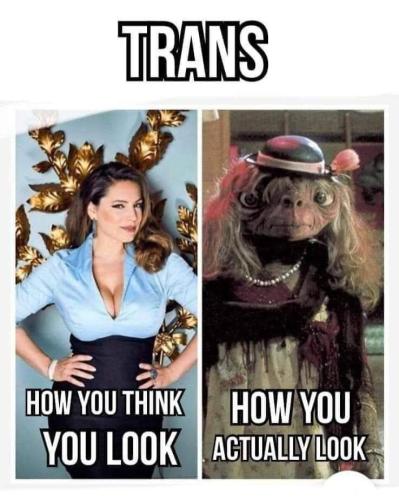 FB_IMG_1685554571729