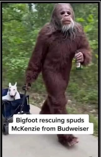 FB_IMG_1684530278871