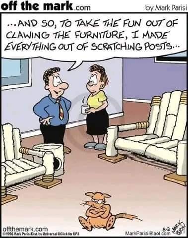 348638883_1751050138662091_6958103674473671139_n