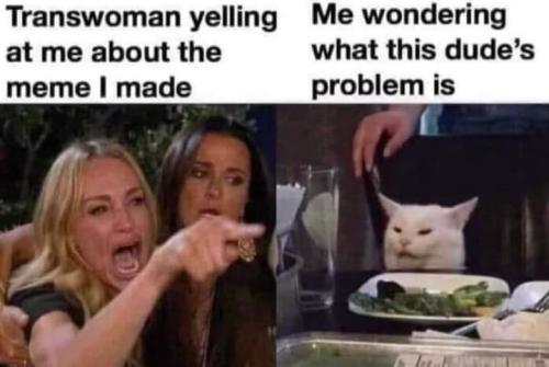 FB_IMG_1685561009890