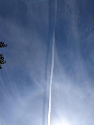 a335f4d5-666b-49dc-add8-ea35cf57cb6a