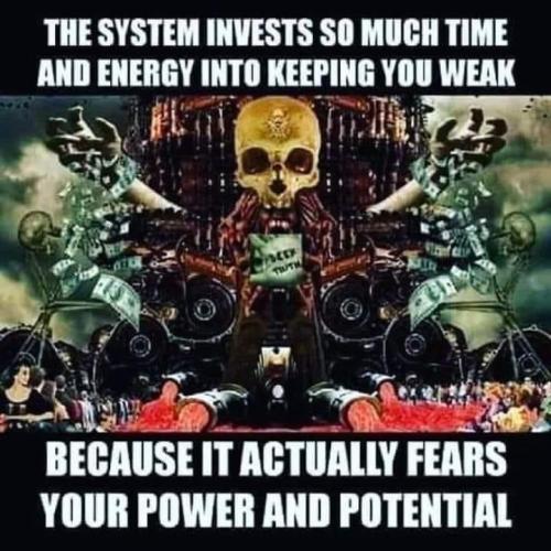1683517352.101186