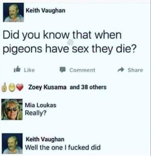 FB_IMG_1683825648278