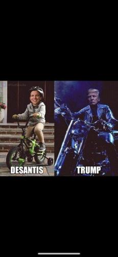 FB_IMG_1684548313435