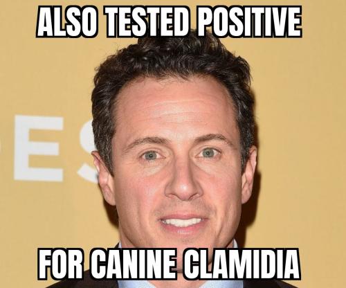 ZomboMeme 05102020142444