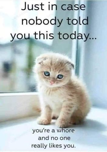 FB_IMG_1683656751512