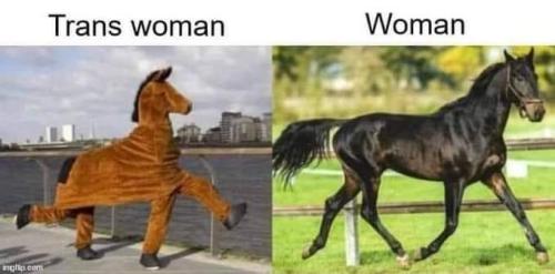 one is not quite right