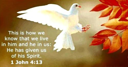 IMG_20230506_145915_971