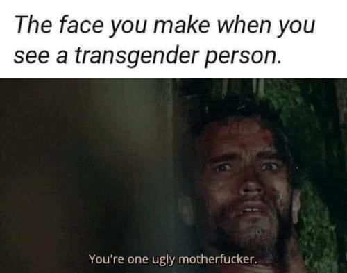 FB_IMG_1683561553341