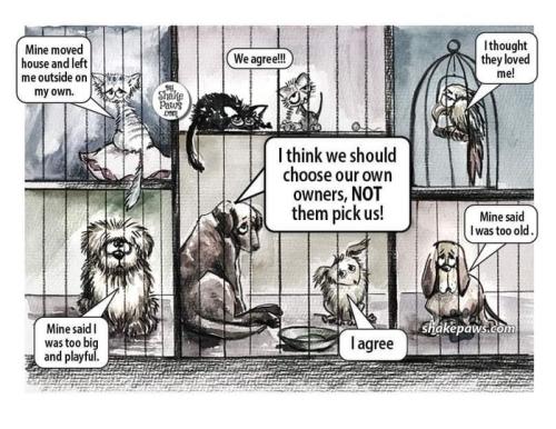 347402408_810337776822202_5403319511725328408_n