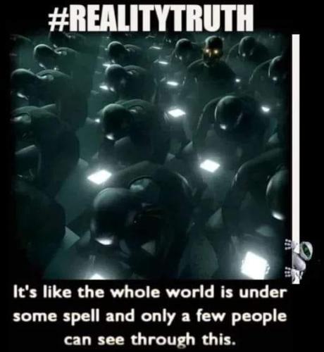 Reality 1
