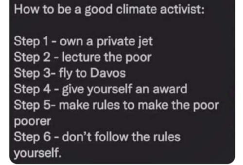 good climate activist