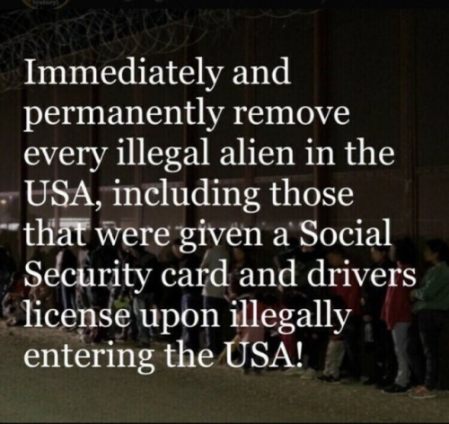 Illegals 1