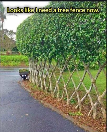 Screenshot_20230512_195545_Chrome