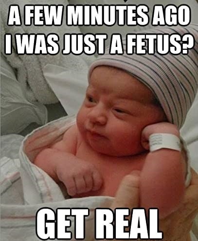 7a1629aa-e33b-414d-a118-7b31a1d84913