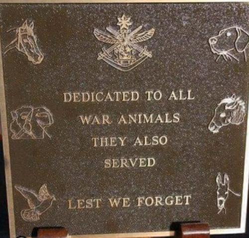 09:09:35 GMT-0500 (CDT)