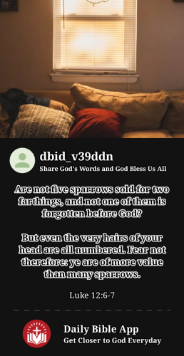 2023-05-291685416377555