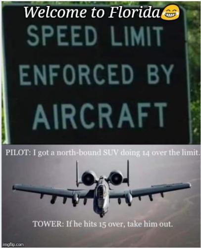 348239955_936140274362892_1468745520523573838_n