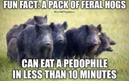 FB_IMG_1683654073688