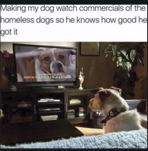 Screenshot_20230522_163859_Chrome