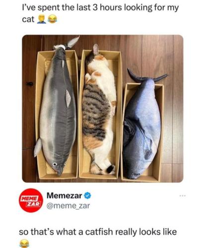 Screenshot_20230522_224506_Quora