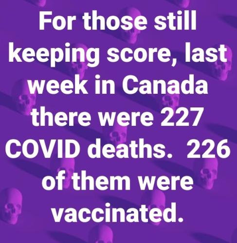 Screenshot_20230513-101419_Facebook