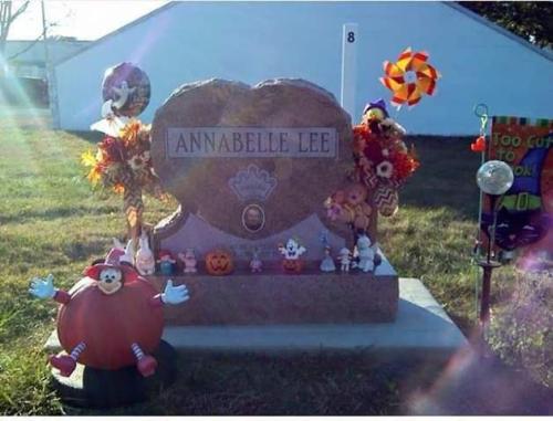 IMG_20230508_114450_349