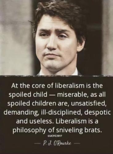 tumblr_7e2e2cbe7fa2a4be69ef2c3defa91277_2d0fdecd_540