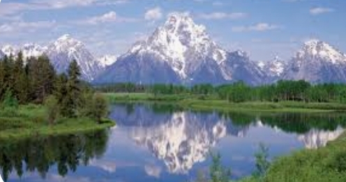 Screenshot_20230509_094953_Google