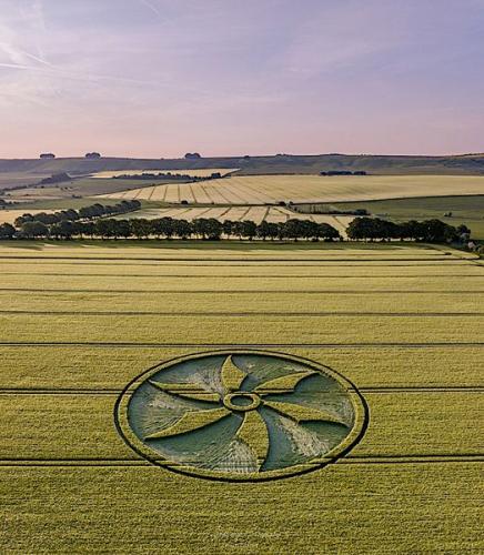 350482626_26839494567