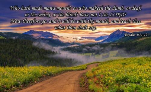 c429d6eb-50d8-4426-a06a-9ac9f70784e8