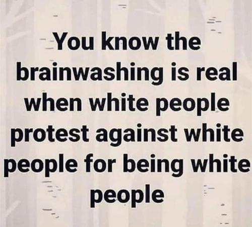 FB_IMG_1685335069405