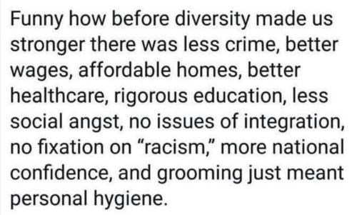 Before_diversity