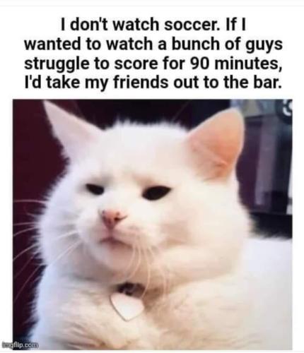 348456817_1484578535409217_9075248818582174776_n