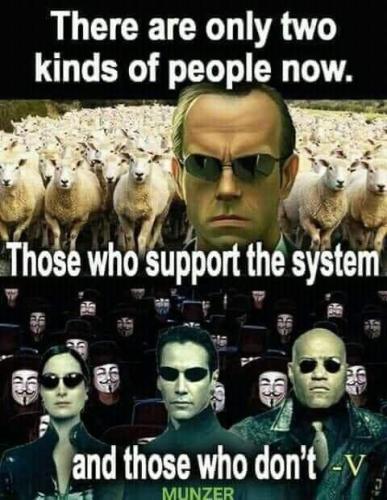 FB_IMG_1684346430624